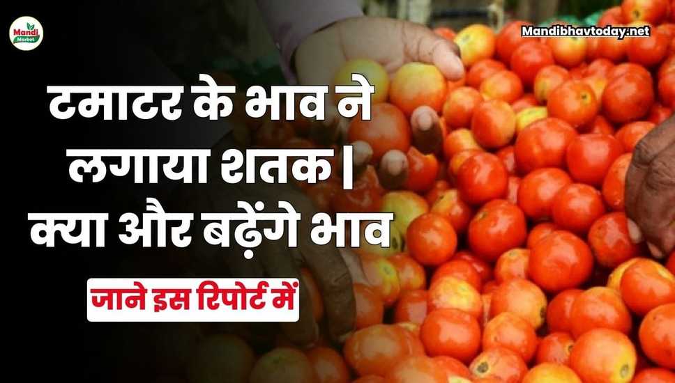 Tomato price hits century