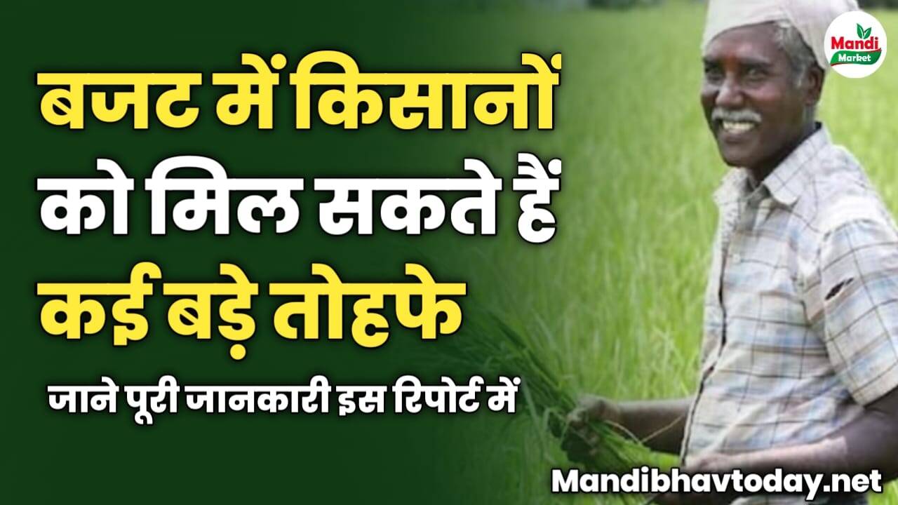 बजट 2024 में किसानों को मिल सकते हैं कई बड़े तोहफे | जाने पूरी जानकारी इस रिपोर्ट में