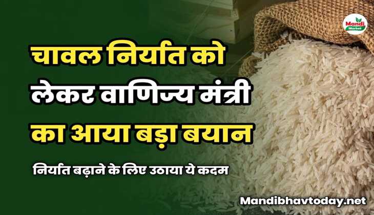 चावल निर्यात को लेकर वाणिज्य मंत्री का आया बड़ा बयान | निर्यात बढ़ाने के लिए उठाया ये कदम