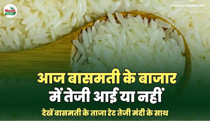 बासमती भाव 