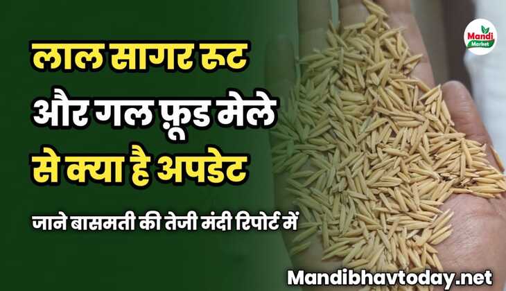 लाल सागर रूट और गल फ़ूड मेले से क्या है अपडेट | जाने बासमती की तेजी मंदी रिपोर्ट में