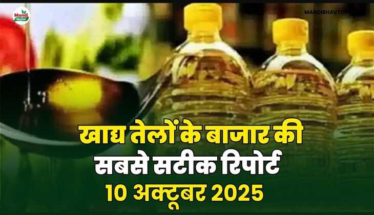 खाद्य तेलों के बाजार की सबसे सटीक रिपोर्ट