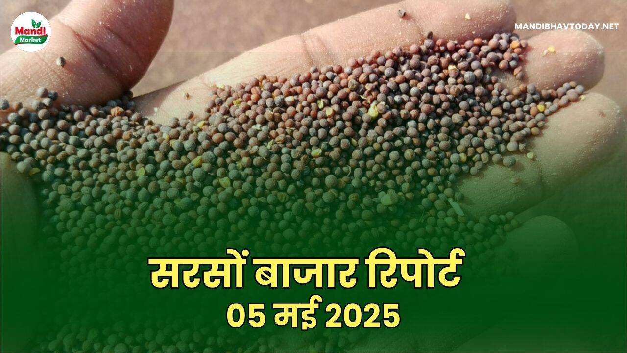 05 मई 2025