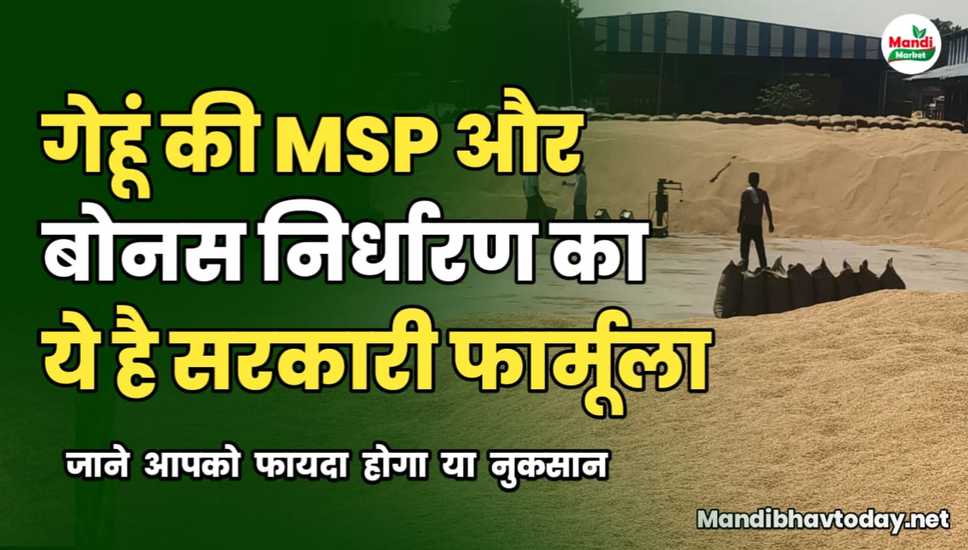 गेहूं की MSP और बोनस निर्धारण का क्या है सरकारी फार्मूला | जाने आपको फायदा होगा या नुकसान