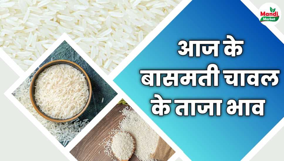 आज के बासमती चावल के ताजा भाव | Basmati Rice Rate 07 November 2023