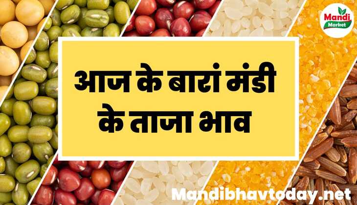 आज के बारां मंडी के ताजा मंडी भाव | Baran mandi ka bhav 27 january 2024