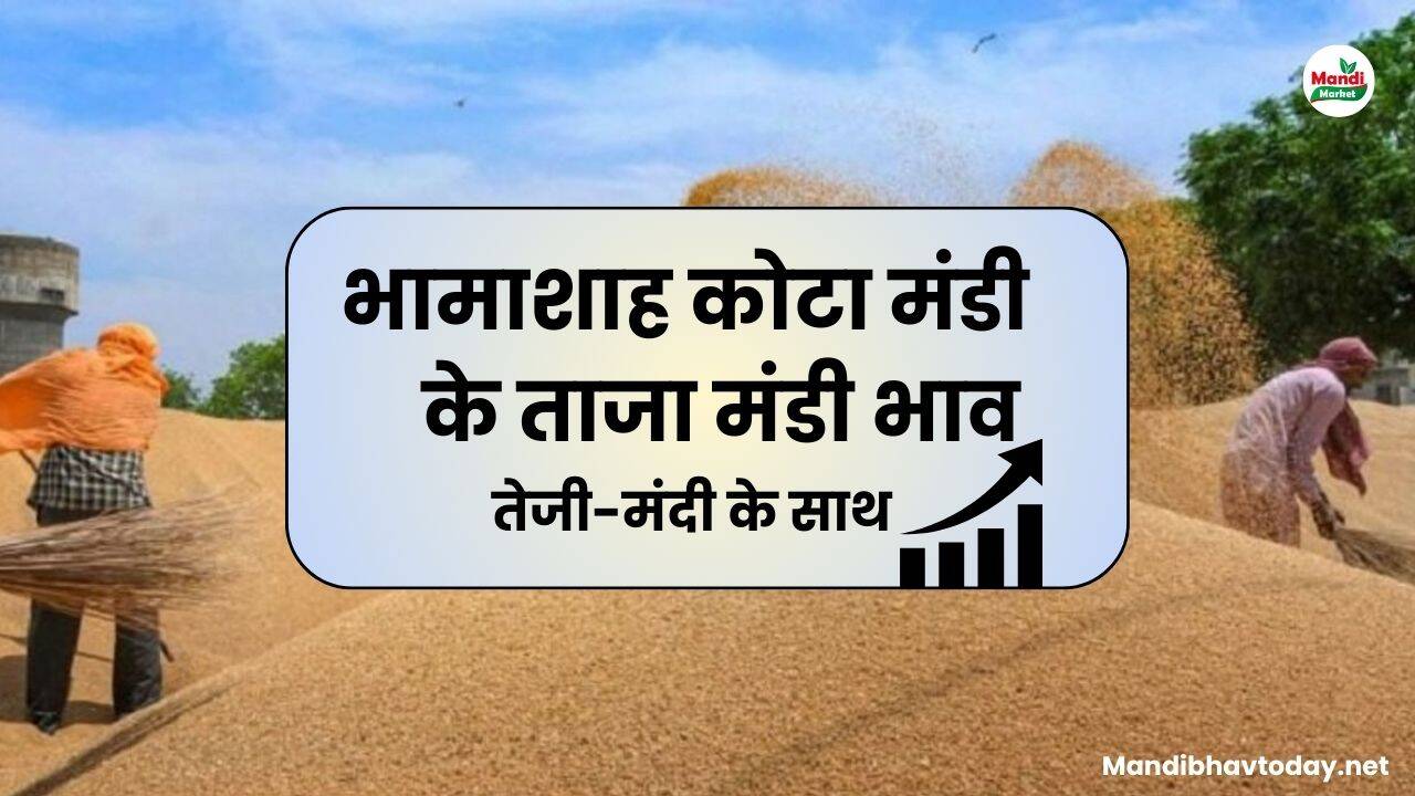 भामाशाह कोटा मंडी