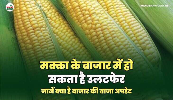 मक्का images