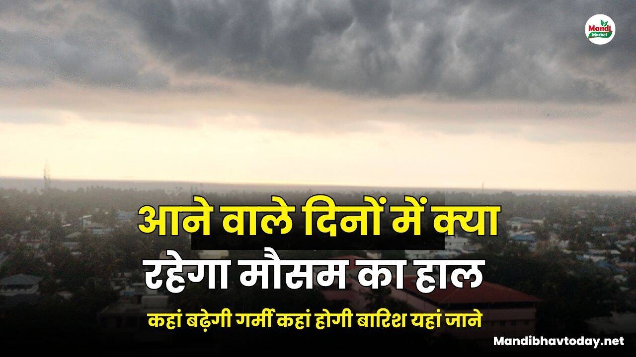 आने वाले दिनों में क्या रहेगा मौसम का हाल | कहां बढ़ेगी गर्मी कहां होगी बारिश यहां जाने 