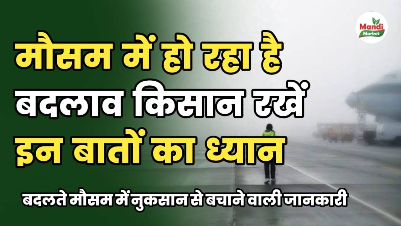 मौसम में हो रहा है बदलाव किसान रखें इन बातों का ध्यान