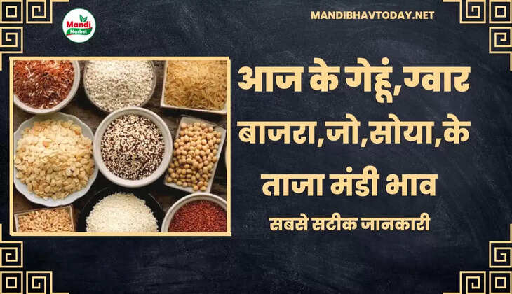 Anaj Mandi Rate today 05 Nov 2022 