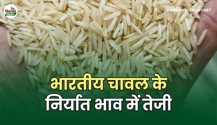 भारतीय चावल के निर्यात भाव में तेजी