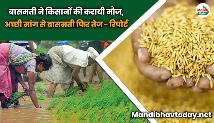  बासमती ने किसानों की करायी मौज, अच्छी मांग से बासमती फिर तेज – रिपोर्ट