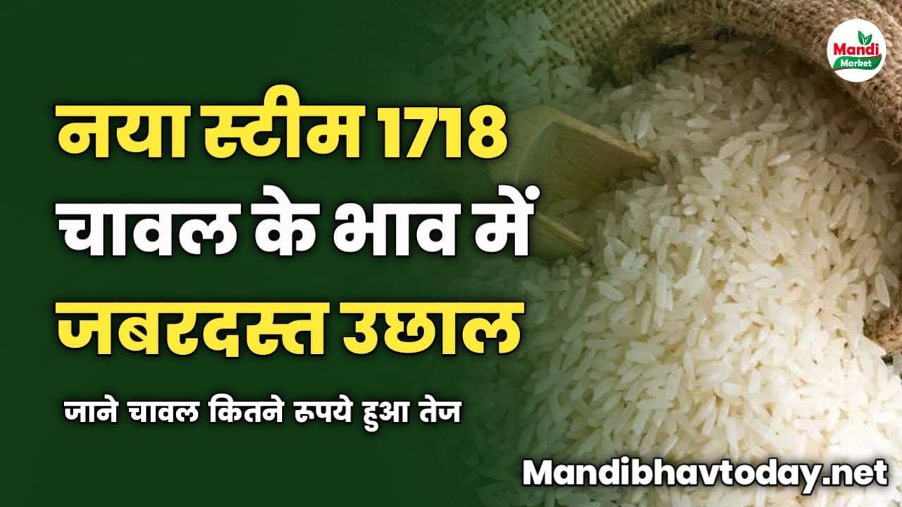 नया स्टीम 1718 चावल के भाव में जबरदस्त उछाल | जाने कितने रूपये हुआ तेज