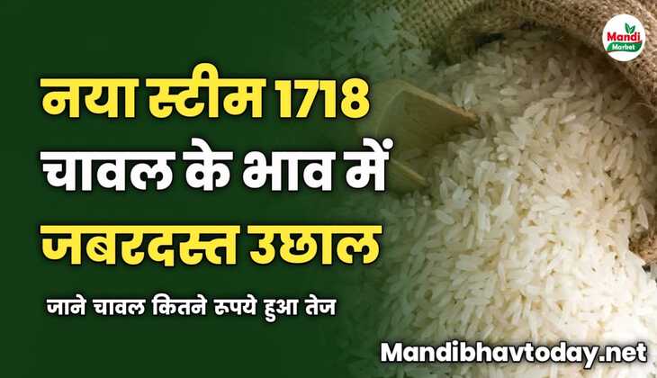 नया स्टीम 1718 चावल के भाव में जबरदस्त उछाल | जाने कितने रूपये हुआ तेज 