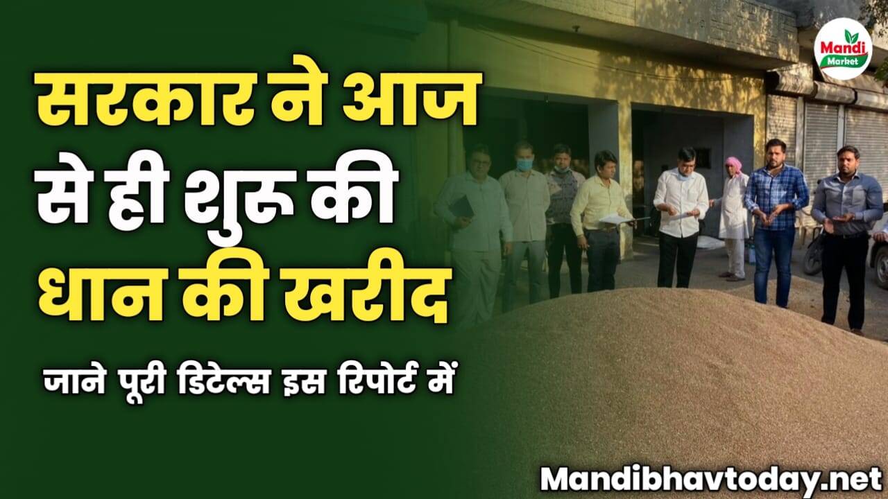 धान के किसानों के लिए खुशखबरी | सरकार ने आज से शुरू की धान की खरीद | जाने पूरी डिटेल्स