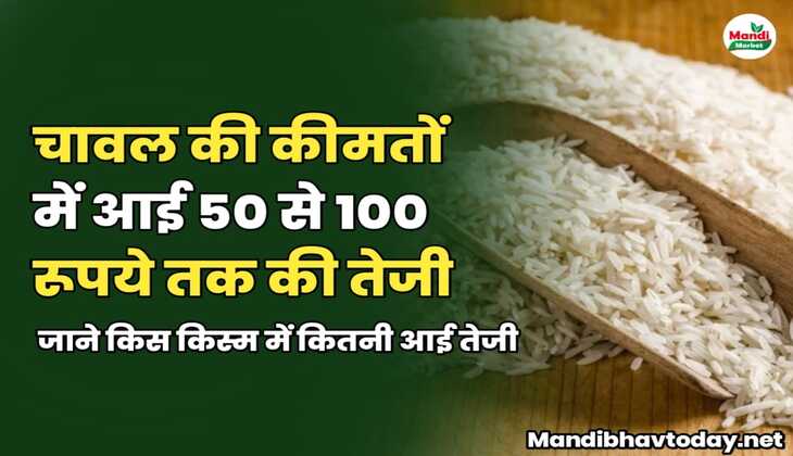 चावल की कीमतों में आई 50 से 100 रूपये तक की तेजी | जाने किस किस्म में कितनी आई तेजी 
