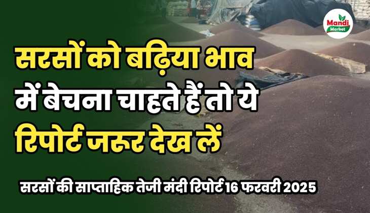 सरसों को टॉप भाव में बेचना है तो किसानों और व्यापारियों को यह रिपोर्ट पढ़ लेनी चाहिए