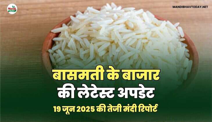 बासमती IMAGES