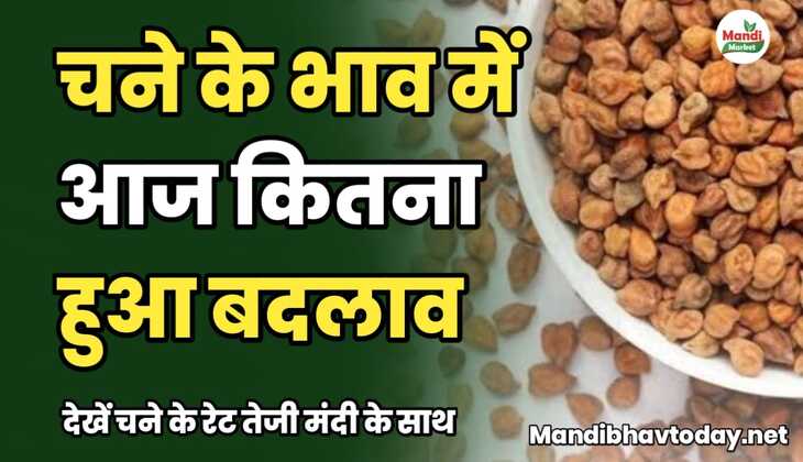 चने के भाव में आज कितना हुआ बदलाव | देखें चने के रेट तेजी मंदी के साथ chane ke taja mandi bhav 4 january 2025