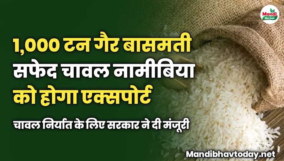 1,000 टन गैर-बासमती सफेद चावल नामीबिया को होगा एक्सपोर्ट | चावल निर्यात के लिए सरकार ने दी मंजूरी 