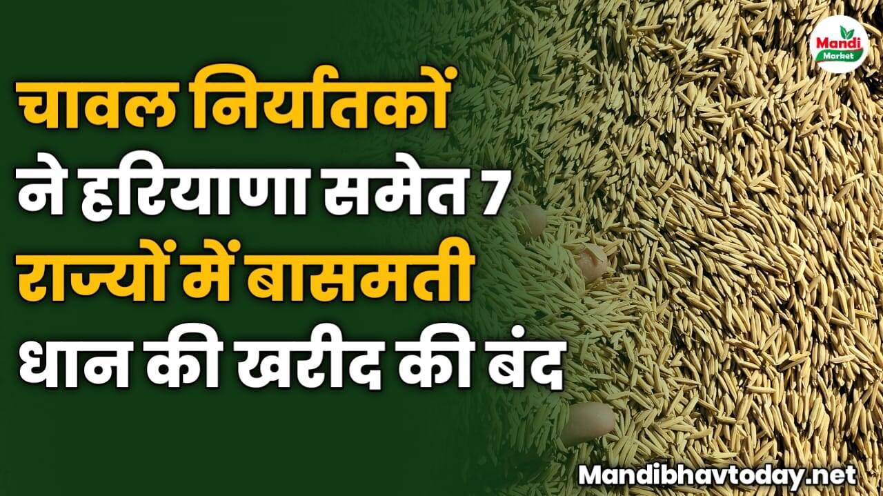 चावल निर्यातकों ने हरियाणा समेत 7 राज्यों में बासमती धान की खरीद की बंद