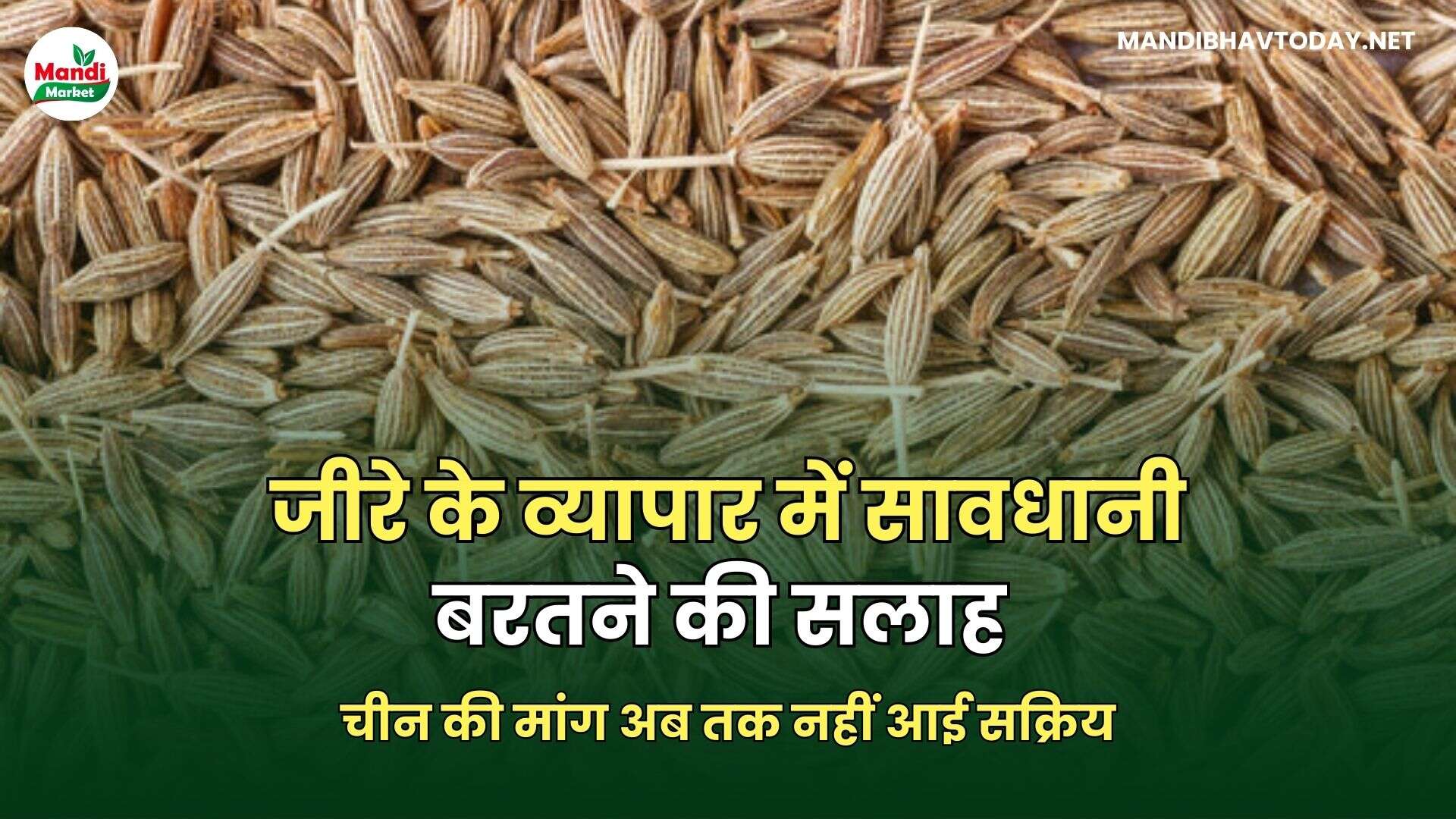 जीरा REPORT