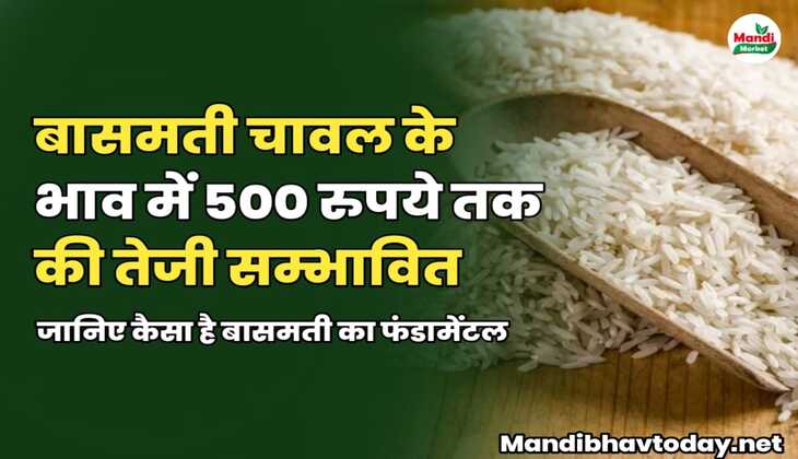 बासमती चावल के भाव में 500 रुपये तक की तेजी सम्भावित | जानिए कैसा है बासमती का फंडामेंटल