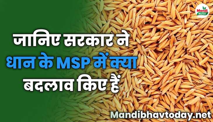 जानिए सरकार ने धान के MSP में क्या बदलाव किए हैं