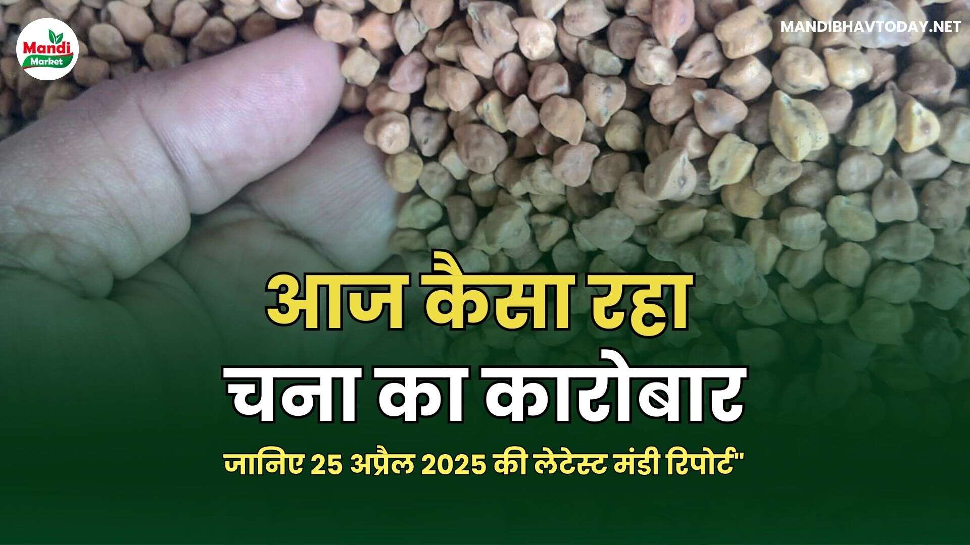 "आज कैसा रहा चना का कारोबार? जानिए 25 अप्रैल 2025 की लेटेस्ट मंडी रिपोर्ट"