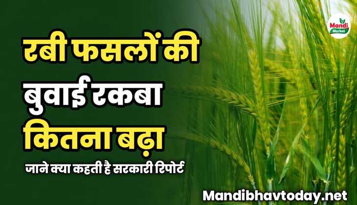 रबी फसलों की बुवाई रकबा कितना बढ़ा | जाने क्या कहती है सरकारी रिपोर्ट