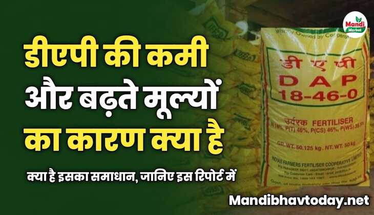 डीएपी की कमी और बढ़ते मूल्यों का कारण क्या है | क्या है इसका समाधान, जानिए इस रिपोर्ट में