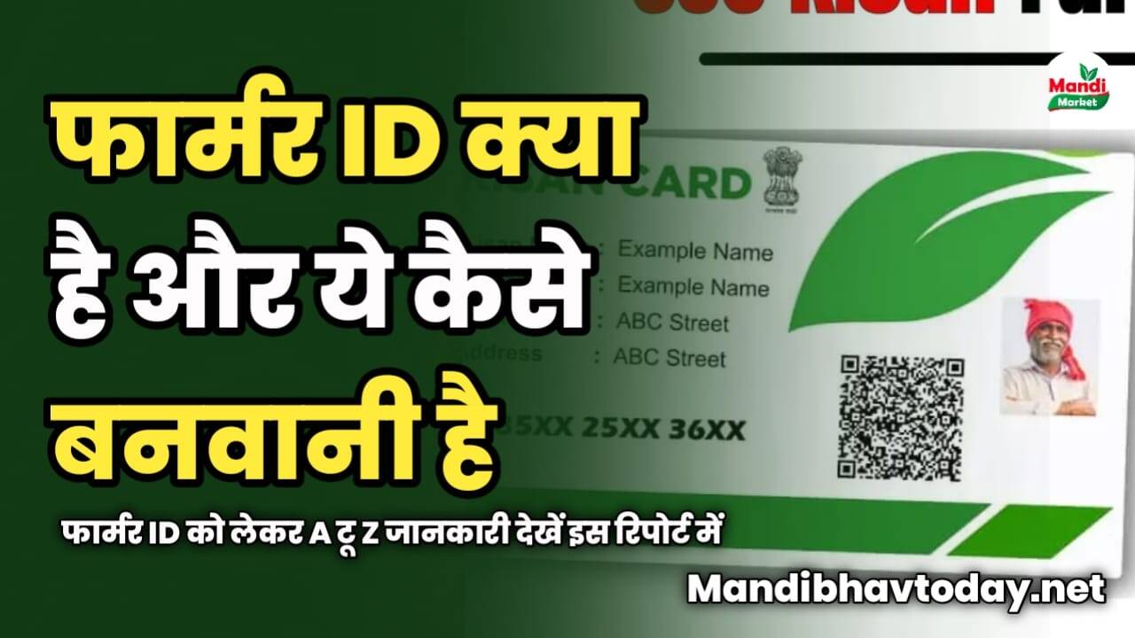 फार्मर ID क्या है और कैसे बनवानी है | फार्मर ID को लेकर A टू Z जानकारी देखें इस रिपोर्ट में