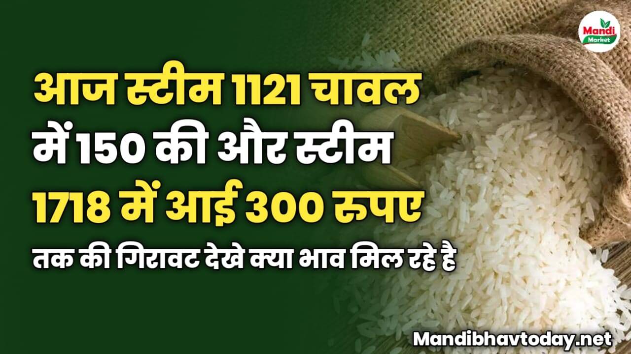 आज स्टीम 1121 चावल में 150 की और स्टीम 1718 में आई 300 रुपए तक की गिरावट | देखे क्या मिल रहे है भाव