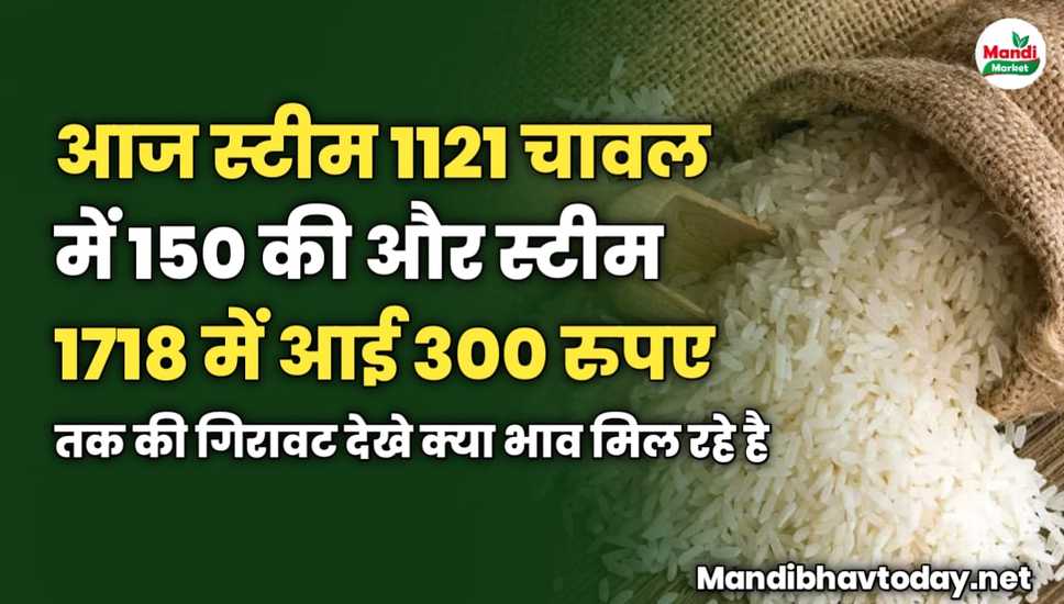 आज स्टीम 1121 चावल में 150 की और स्टीम 1718 में आई 300 रुपए तक की गिरावट | देखे क्या मिल रहे है भाव 