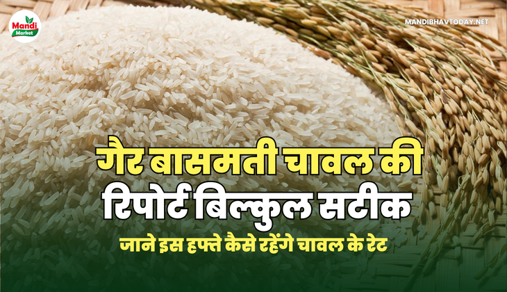 गैर बासमती चावल बाजार में क्या है रुझान -रिपोर्ट  