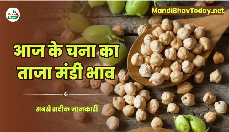 Chana Live Rate Today 07 june 2023