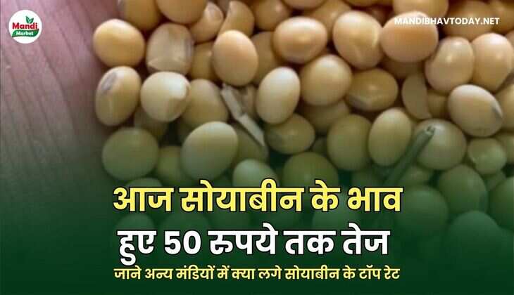 जाने अन्य मंडियों में क्या लगे सोयाबीन के टॉप रेट