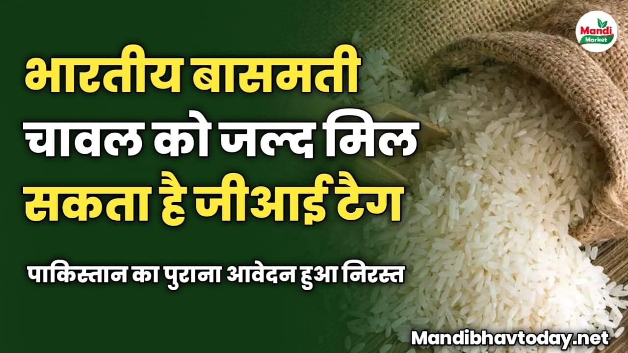 भारतीय बासमती चावल को जल्द मिल सकता है जीआई टैग | पाकिस्तान का पुराना आवेदन हुआ निरस्त