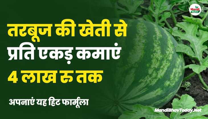 तरबूज की खेती से प्रति एकड़ कमाएं 4 लाख रु तक | अपनाएं यह हिट फार्मूला