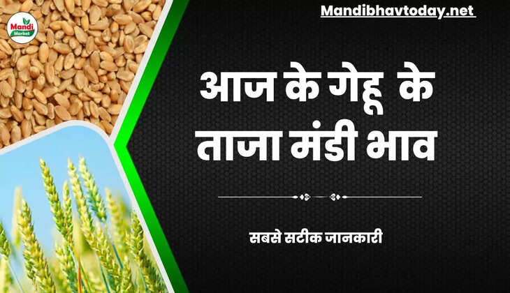  wheat kanak gehu Live Rate Today 05 Dec 2022