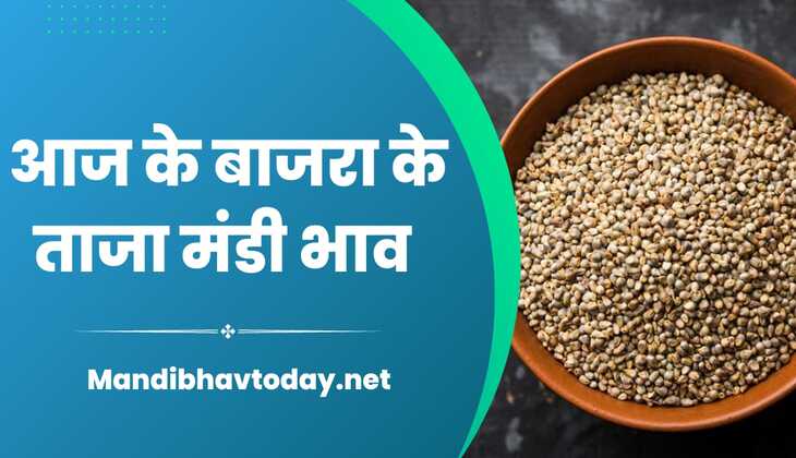 देखे आज के बाजरा के ताजा मंडी भाव | aaj ke bajra ke mandi bhav 13 oct 2023 