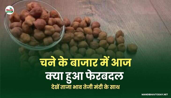 चना IMAGE