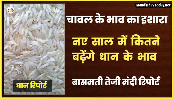 basmati live rate