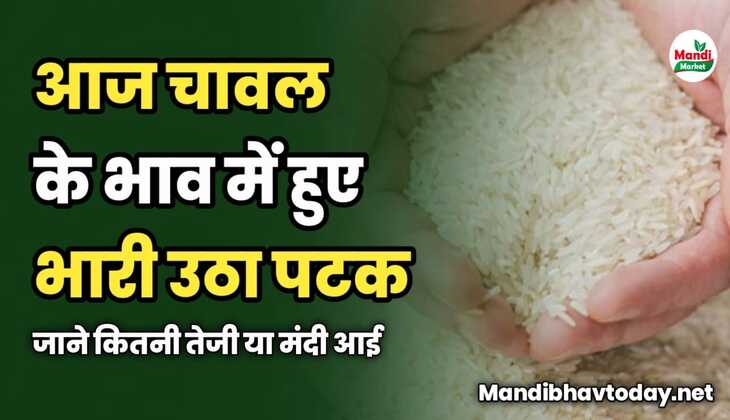 आज चावल के भाव में हुए भारी उठा पटक | जाने कितनी तेजी या मंदी आई 