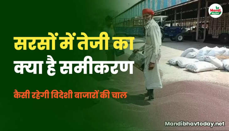 sarso me teji kab aayegi 