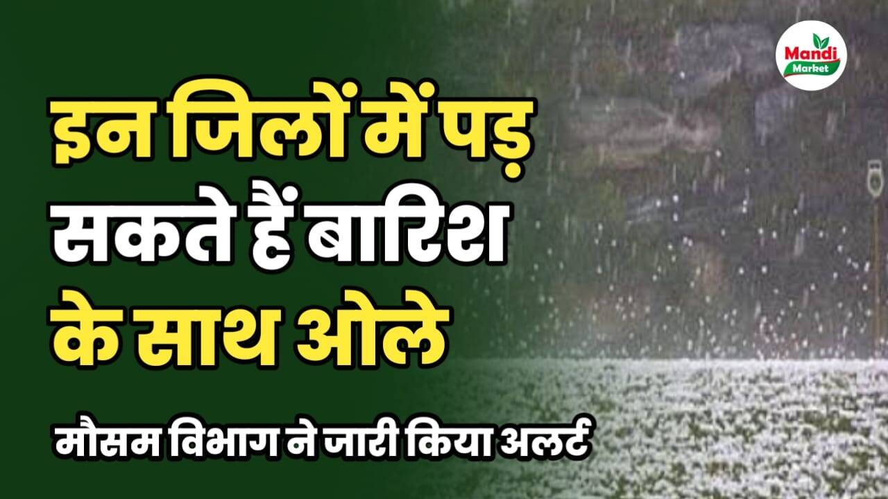 मौसम विभाग का अलर्ट, इन जिलों में बारिश के साथ पड़ सकते हैं ओले