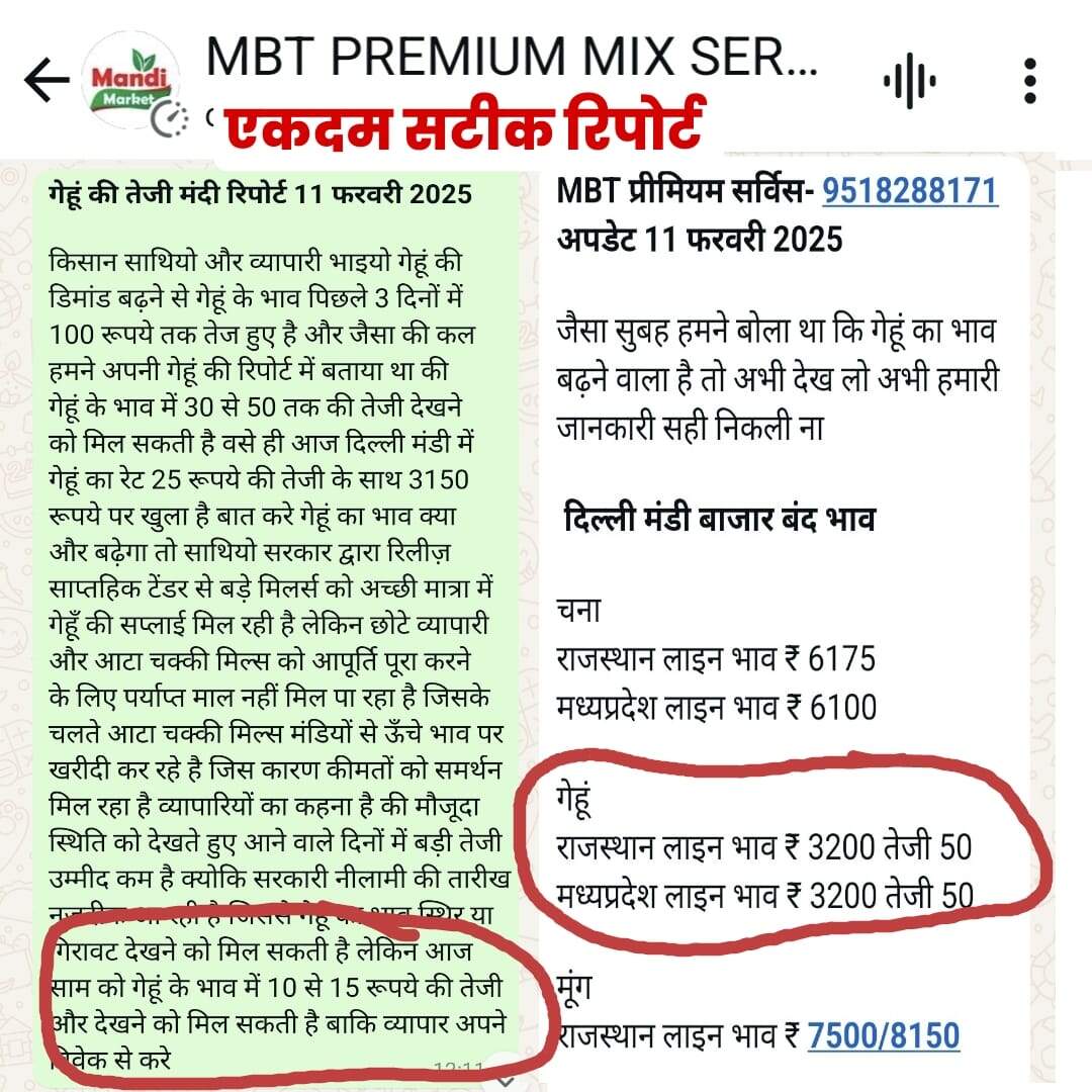 गेहूं का भाव फिर से पहुंचा 3200 रुपए प्रति क्विंटल पर | एक दिन में हुआ 75 रूपये तक तेज
