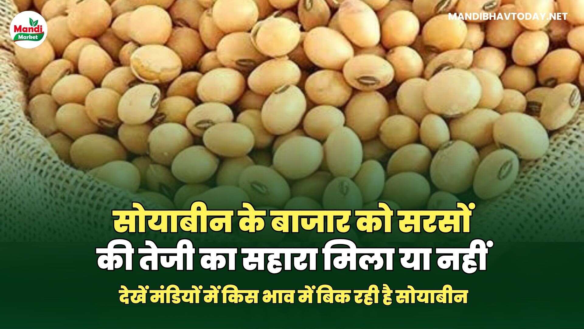 देखें मंडियों में किस भाव में बिक रही है सोयाबीन