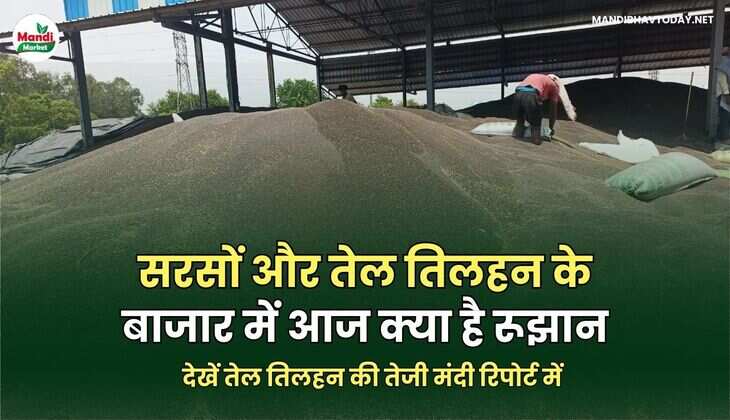 देखें तेल तिलहन की तेजी मंदी रिपोर्ट में